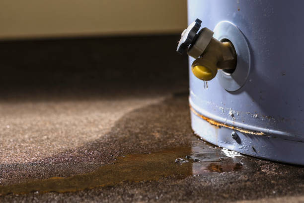 Best Sewage cleanup and water damage restoration  in Windy Hills, KY