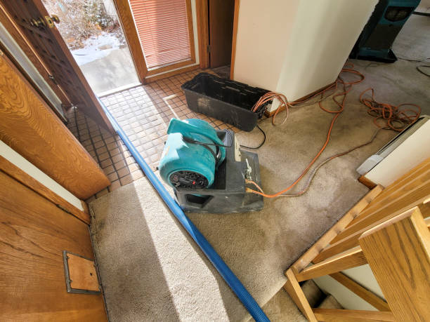 Water damage restoration experts in KY