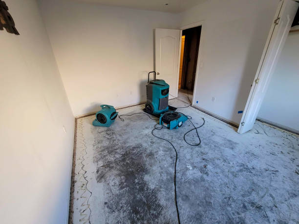 Best Residential water damage restoration  in Windy Hills, KY